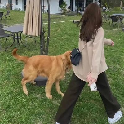 天使的肌肤